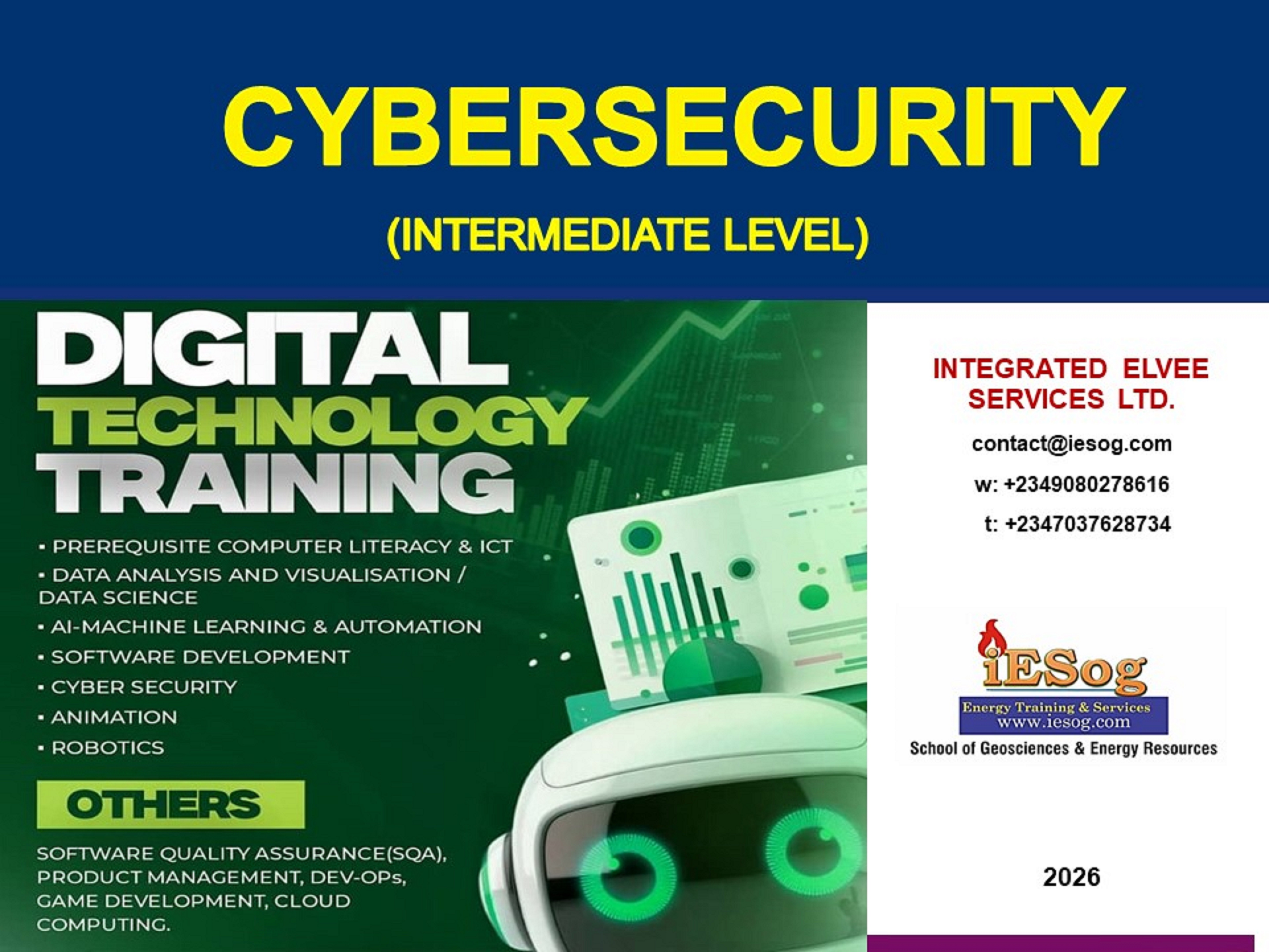 Cyber Security (Intermediate Level)