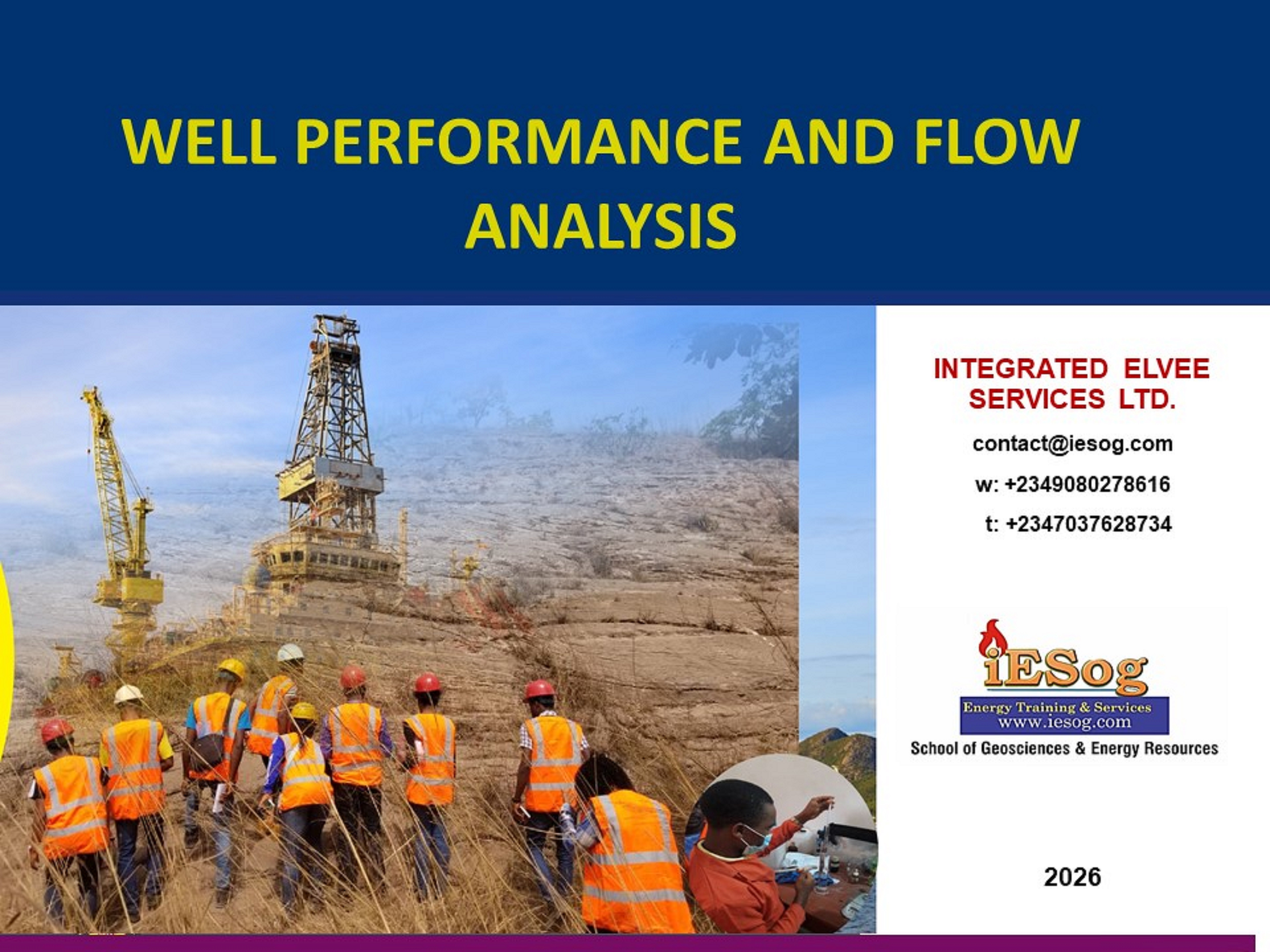 Well Performance and Flow Analysis